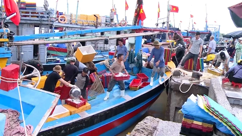 Khai thác thủy sản năm 2025 đạt trên 140 nghìn tấn