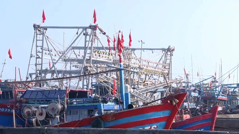 Khai thác thủy sản năm 2025 đạt trên 140 nghìn tấn