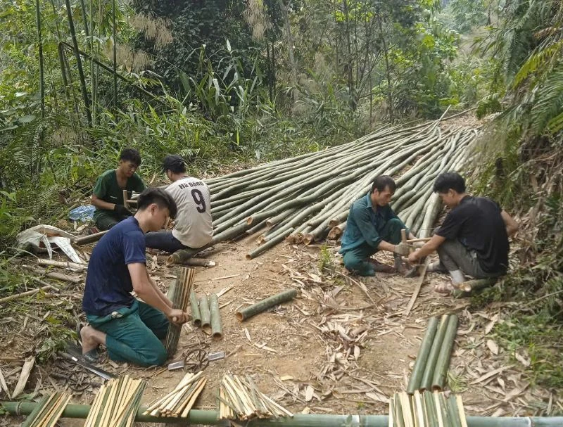 Thanh niên xã Sơn Điện hỗ trợ bà con chặt luồng gây quỹ