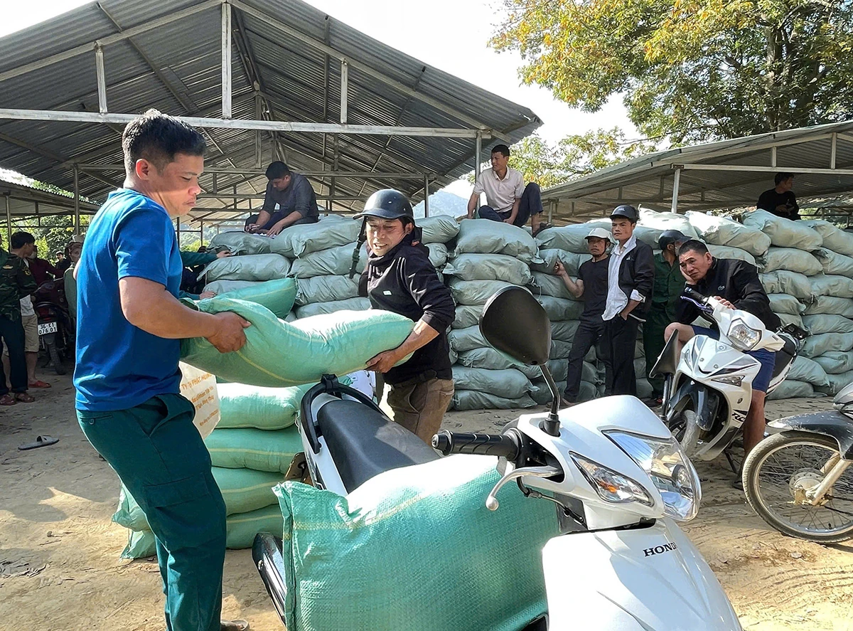 Gần 200 tấn gạo hỗ trợ Nhân dân tham gia bảo vệ và phát triển rừng ở xã Tam Chung