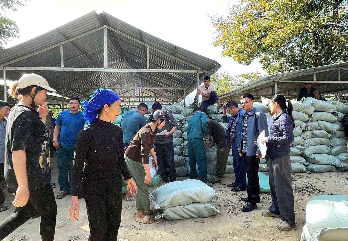 Gần 200 tấn gạo hỗ trợ Nhân dân tham gia bảo vệ và phát triển rừng ở xã Tam Chung