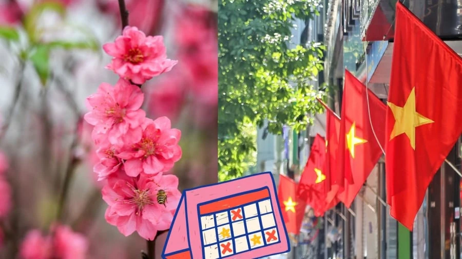 Ban Bí thư chỉ đạo tập trung tổ chức Tết Bính Ngọ năm 2026