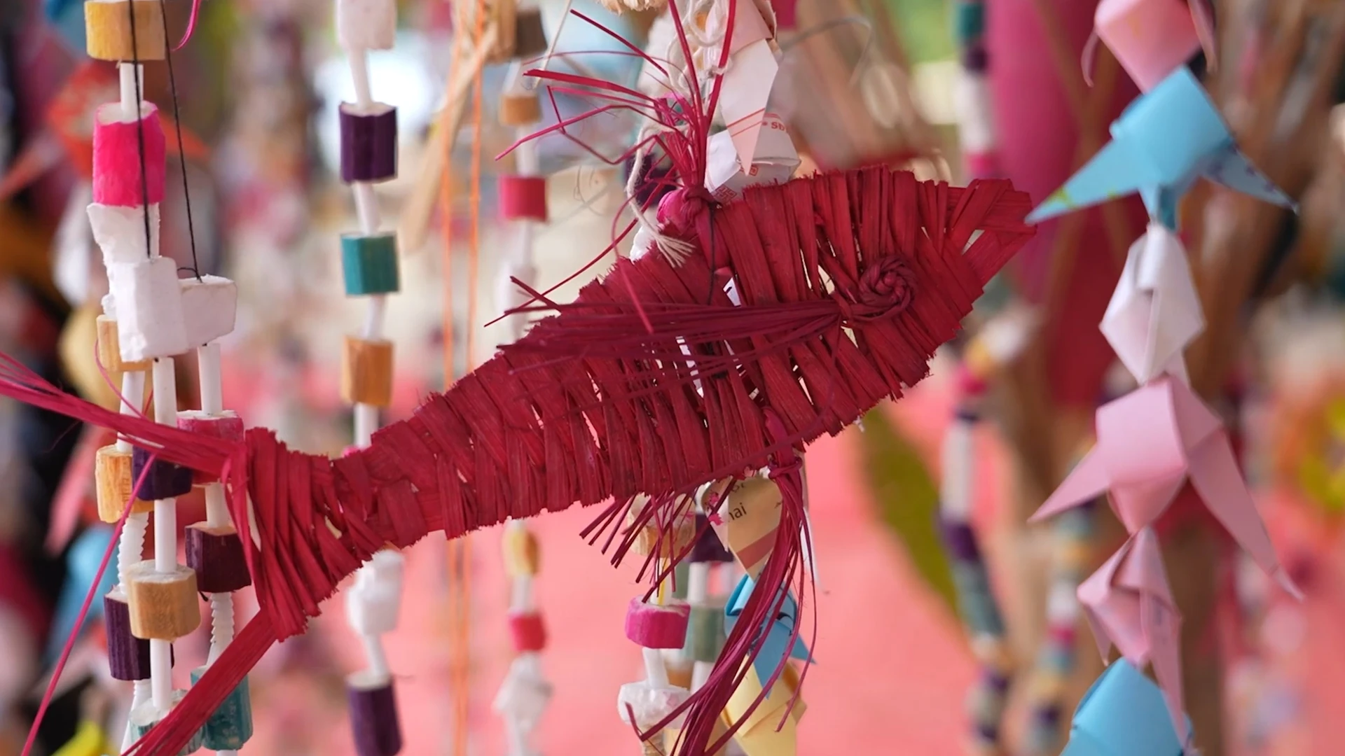 Sắc màu cây bông trong văn hóa người Thái