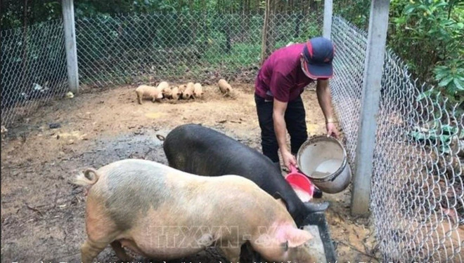 Tạo sinh kế bền vững cho đồng bào dân tộc thiểu số để giảm nghèo đa chiều