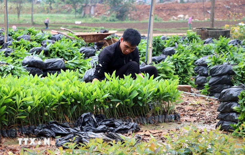 Quy định mới về đối tượng không chịu thuế giá trị gia tăng