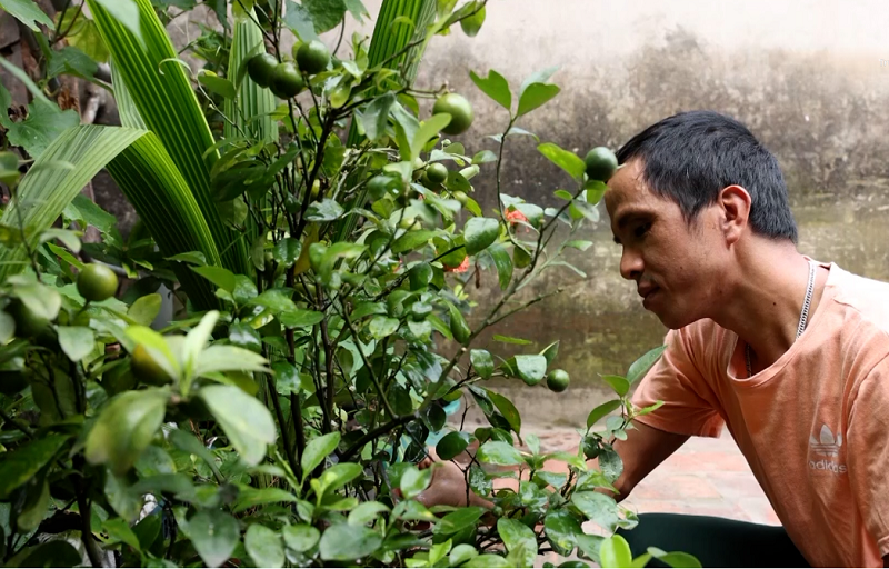 Có những trái tim ngừng đập, nhưng sự sống không dừng