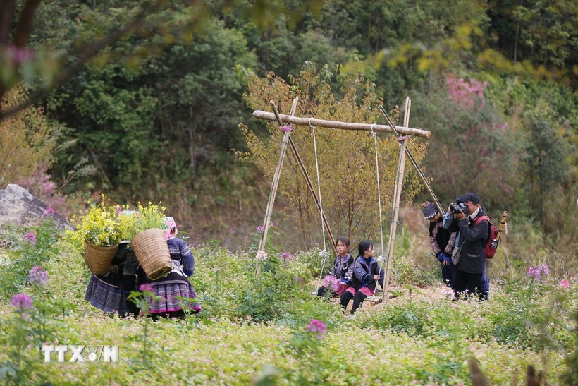 Khai mạc Festival Khèn Mông-Lễ hội hoa Tớ Dày năm 2026