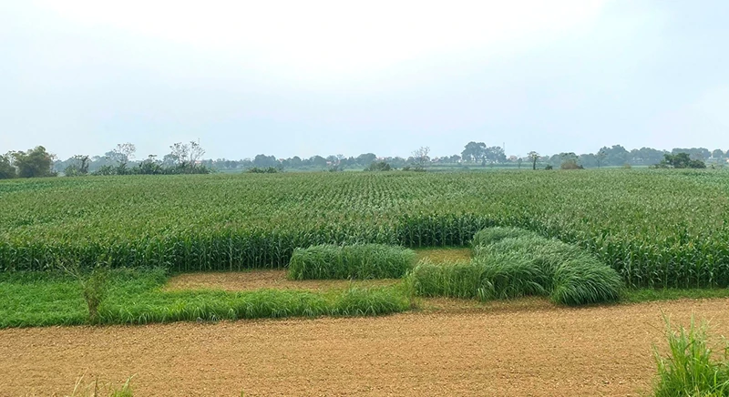 Ngôi làng cổ nằm bên hai dòng sông
