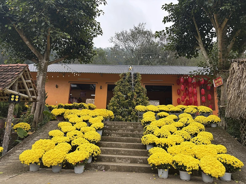 Sẵn sàng mùa du lịch trải nghiệm tại các khu nông trại, du lịch sinh thái