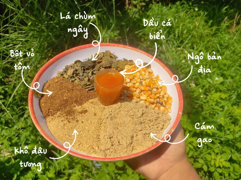 9X xứ Thanh và câu chuyện trứng gà thảo mộc