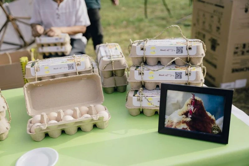 9X xứ Thanh và câu chuyện trứng gà thảo mộc