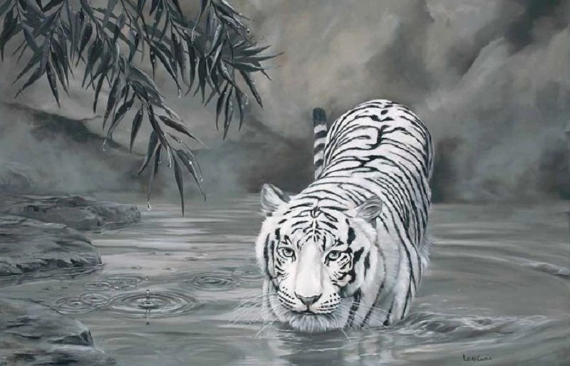 Con hổ trắng trong rừng Ma Hón