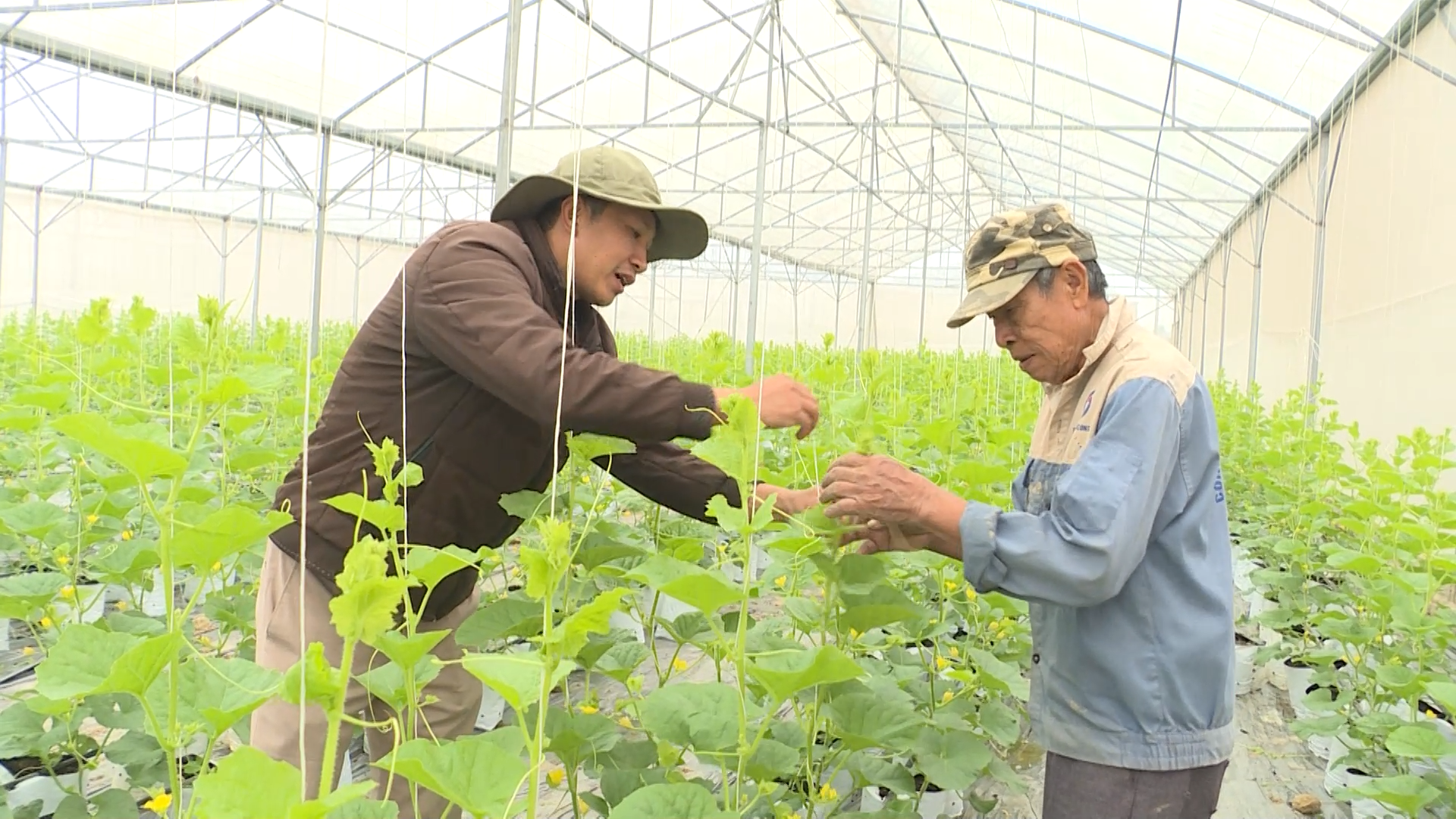 Thoát nghèo từ những mô hình sinh kế thiết thực