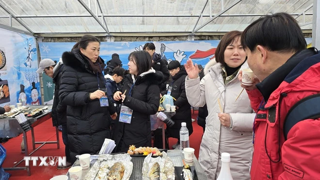 Lễ hội câu cá trên băng ở Hàn Quốc - điểm đến mùa Đông hấp dẫn hàng đầu thế giới