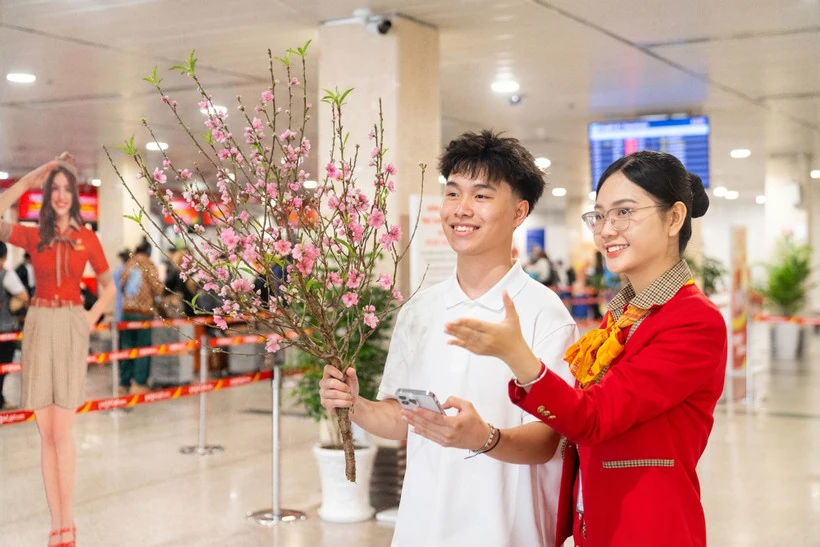 Vietjet Air nhận vận chuyển mai, đào dịp Tết Nguyên đán 2026 kể từ hôm nay