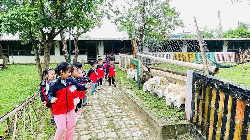 Cuối năm, rộn ràng du lịch trải nghiệm