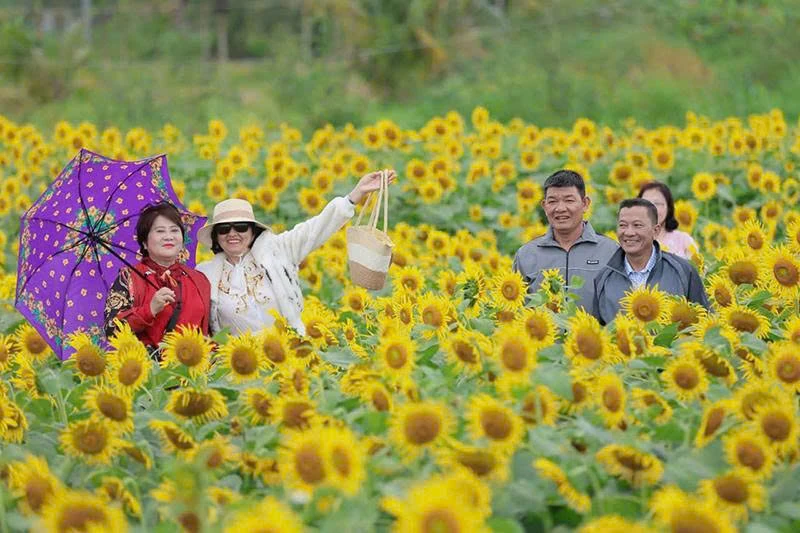 Cuối năm, rộn ràng du lịch trải nghiệm