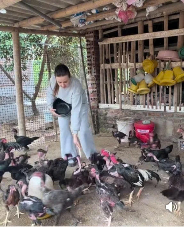 Tình không biên giới