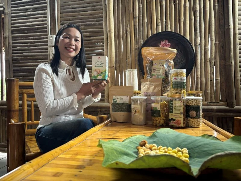 Khi cây sen toả hương trên đất xứ Thanh