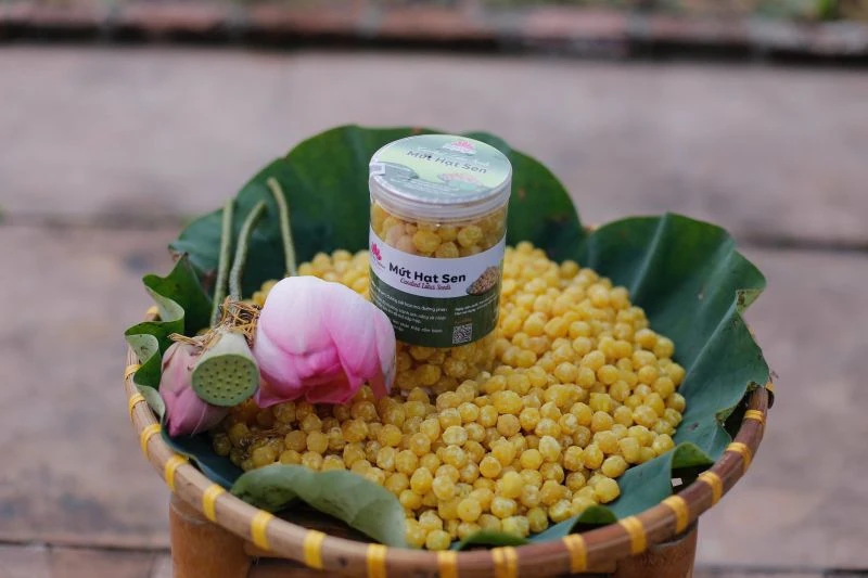 Khi cây sen toả hương trên đất xứ Thanh