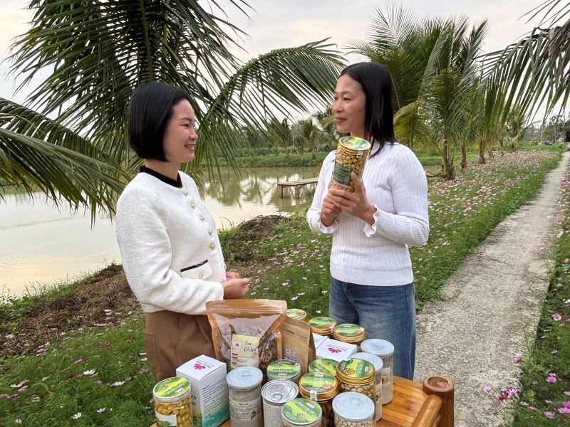 Khi cây sen toả hương trên đất xứ Thanh