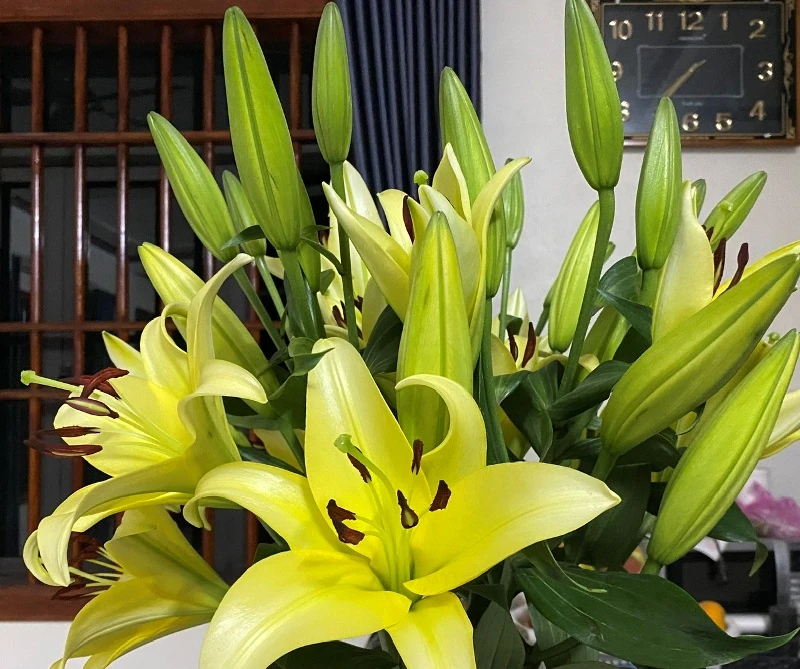 Cuộc sống tươi đẹp