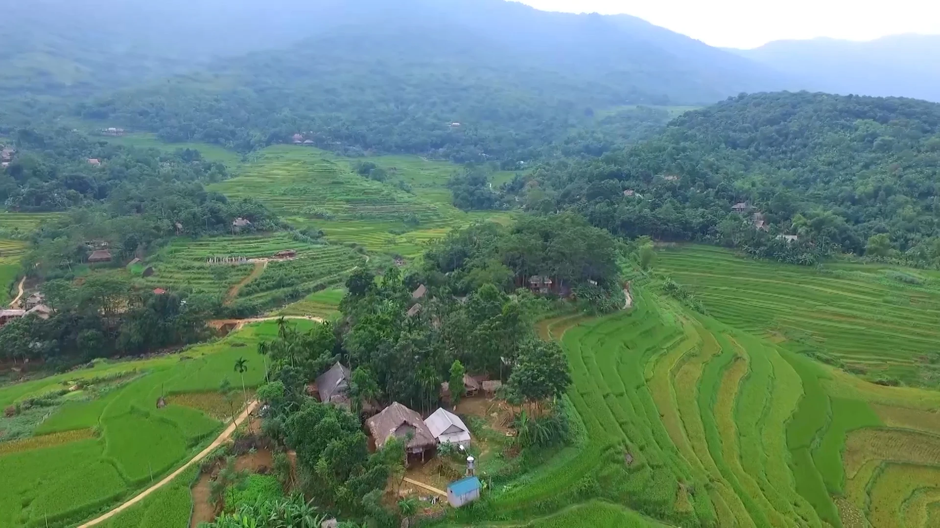 Khi người trẻ khởi nghiệp thành công nhờ công nghệ số