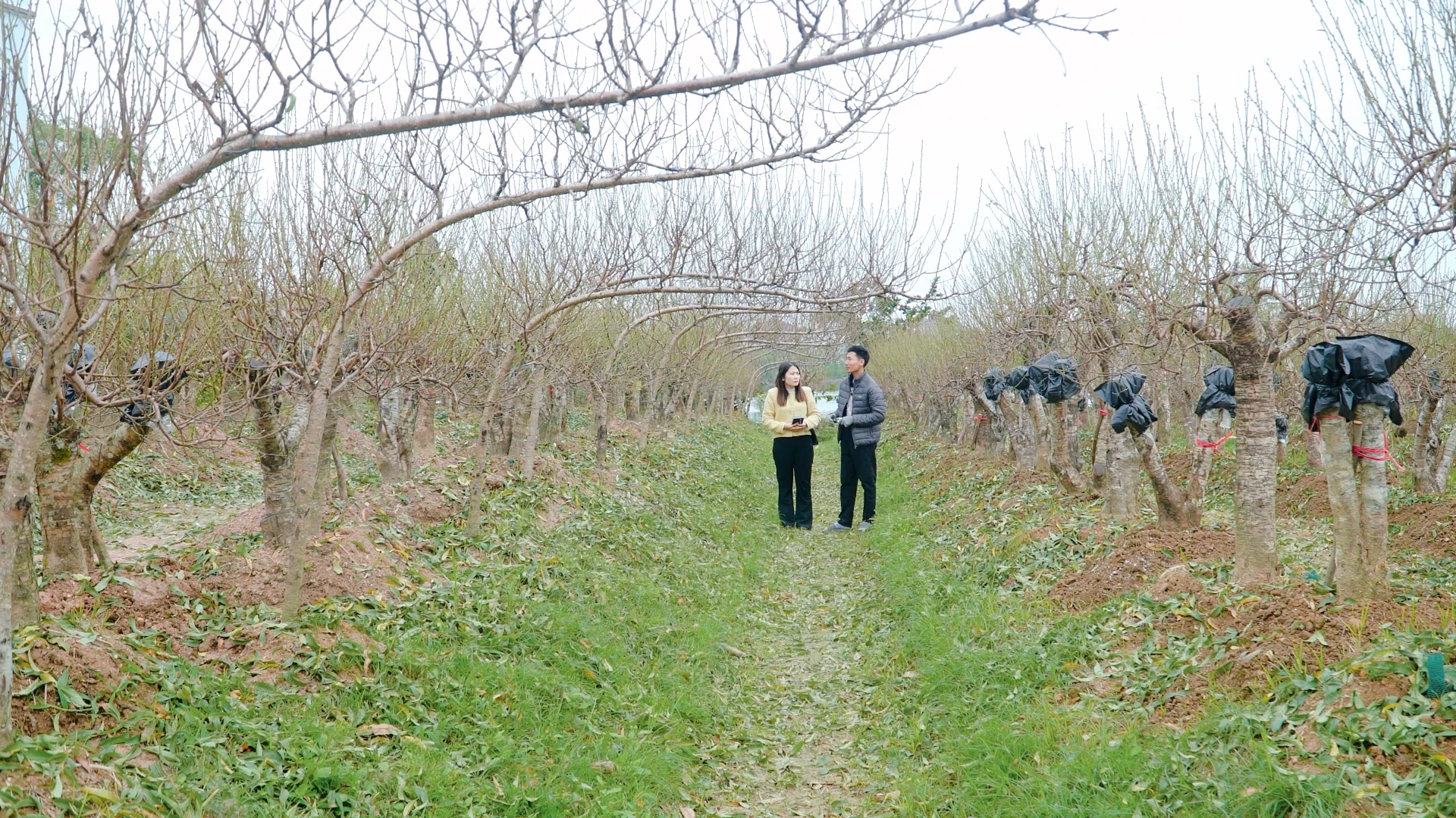 Khi người trẻ khởi nghiệp thành công nhờ công nghệ số