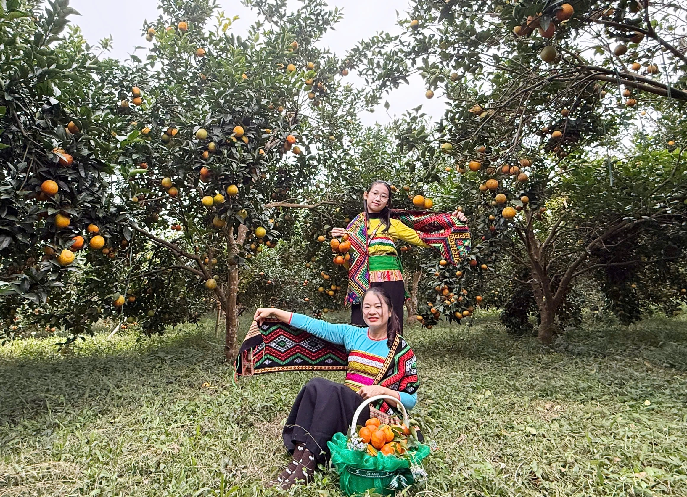 Sắc cam vàng trong nắng xuân