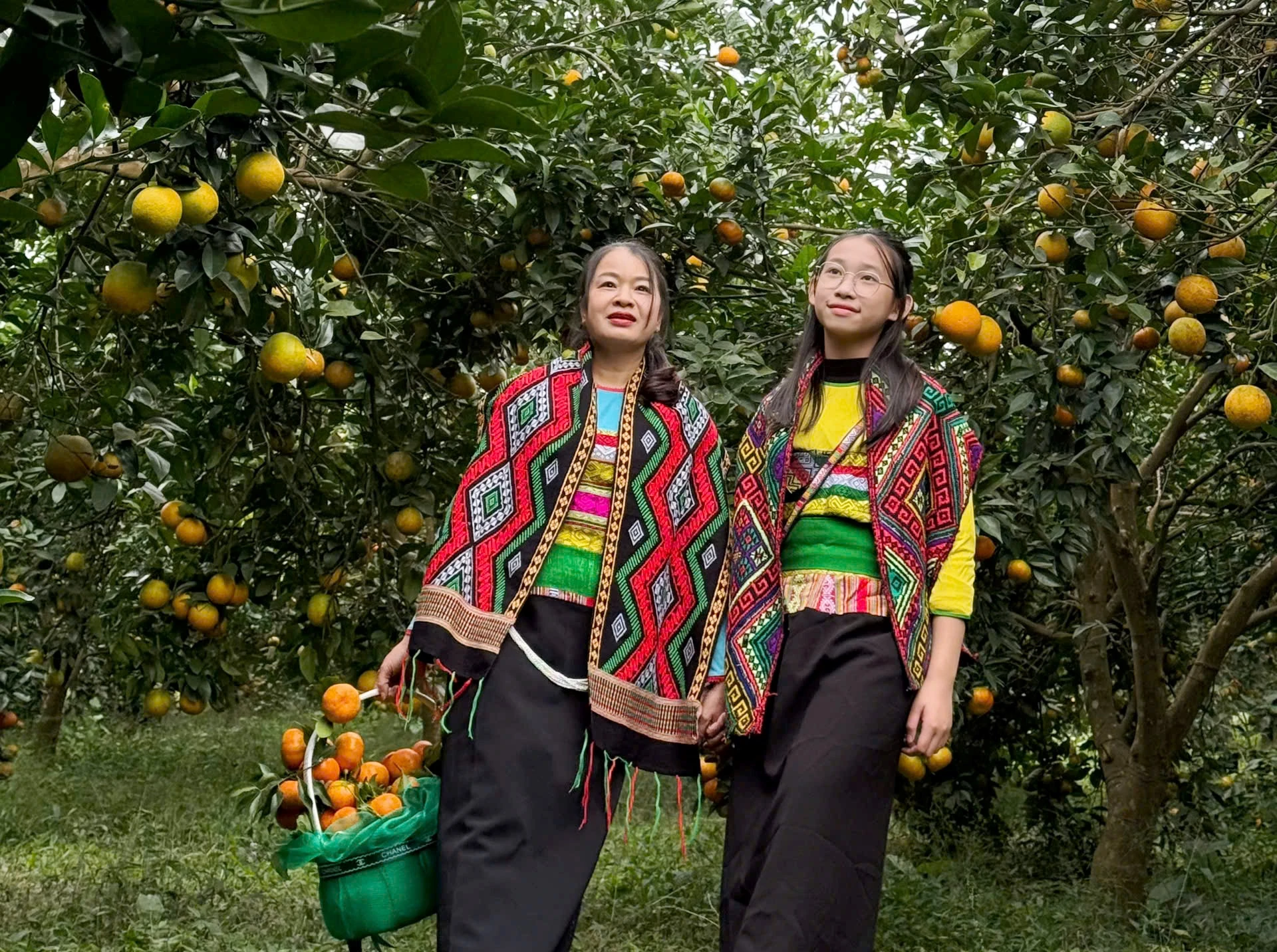 Sắc cam vàng trong nắng xuân