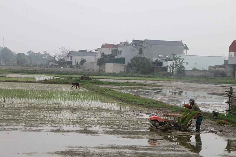 Theo nhịp bước thời gian: Chạp về