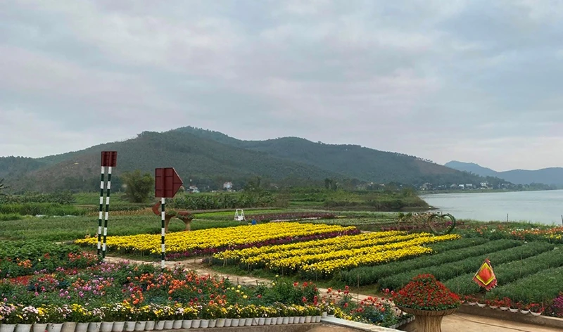 Theo nhịp bước thời gian: Chạp về