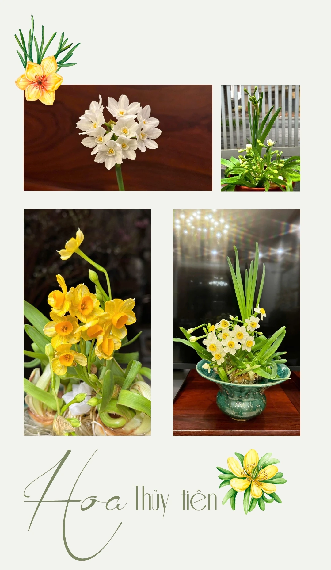 [E-Magazine] - Thanh tao thú chơi Thuỷ Tiên ngày Tết