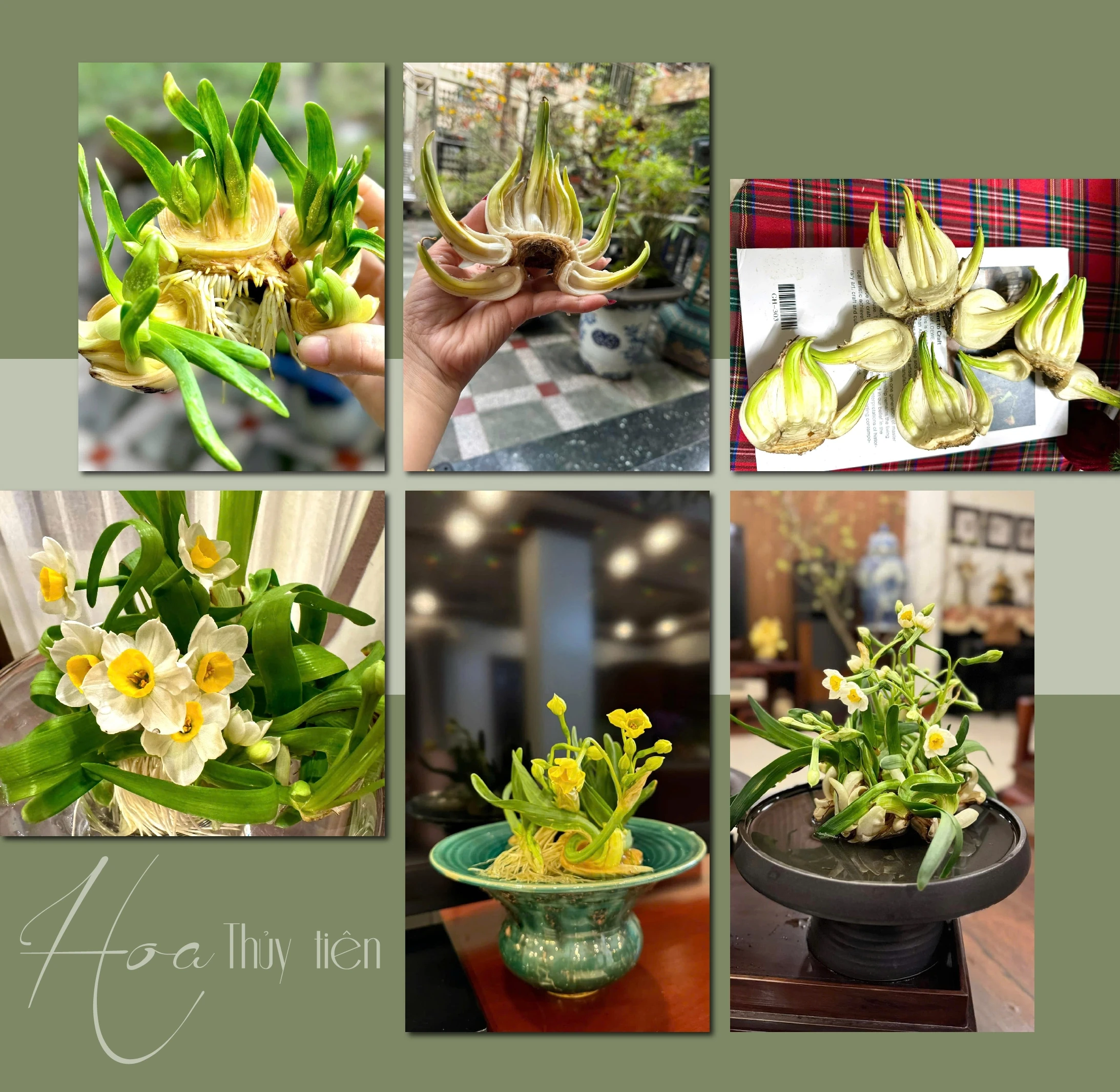 [E-Magazine] - Thanh tao thú chơi Thuỷ Tiên ngày Tết