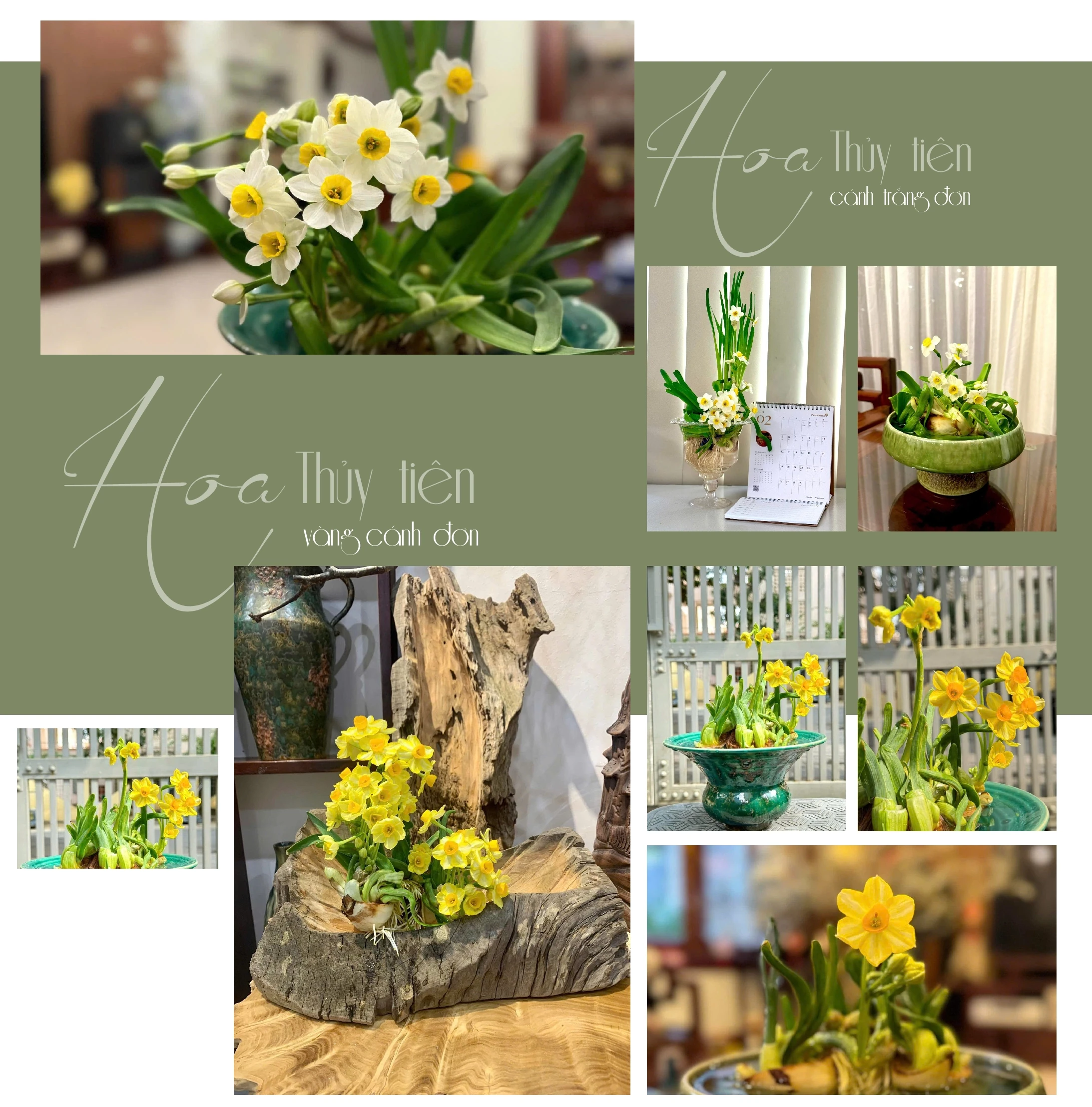 [E-Magazine] - Thanh tao thú chơi Thuỷ Tiên ngày Tết