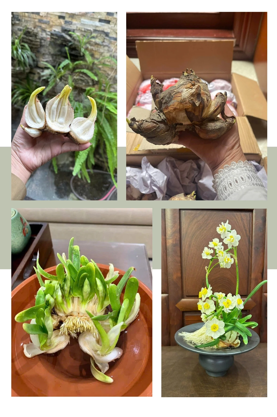 [E-Magazine] - Thanh tao thú chơi Thuỷ Tiên ngày Tết