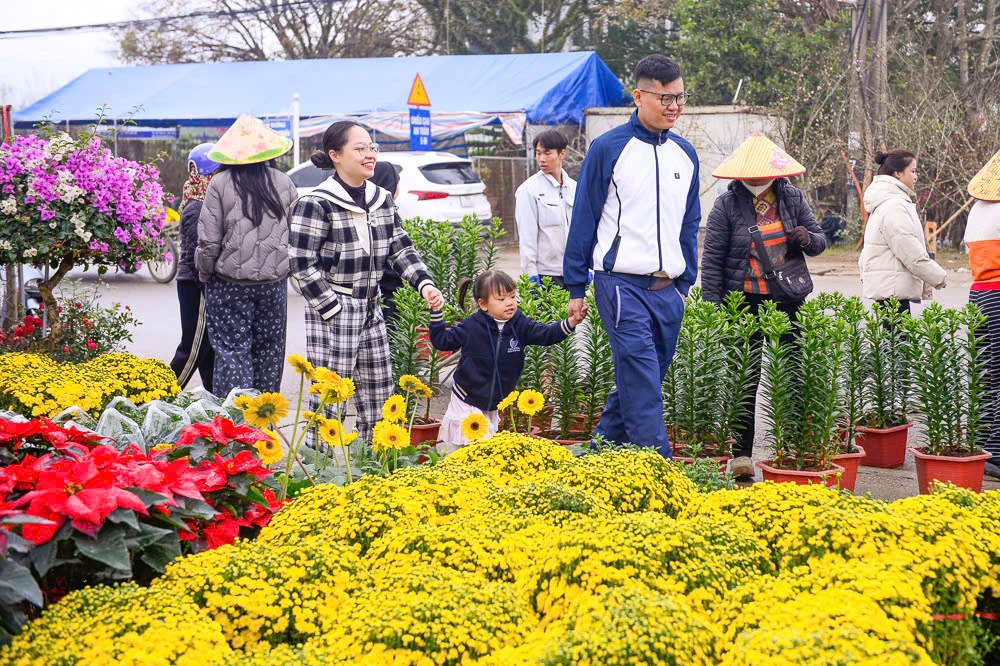 Xuân sớm về trên phố