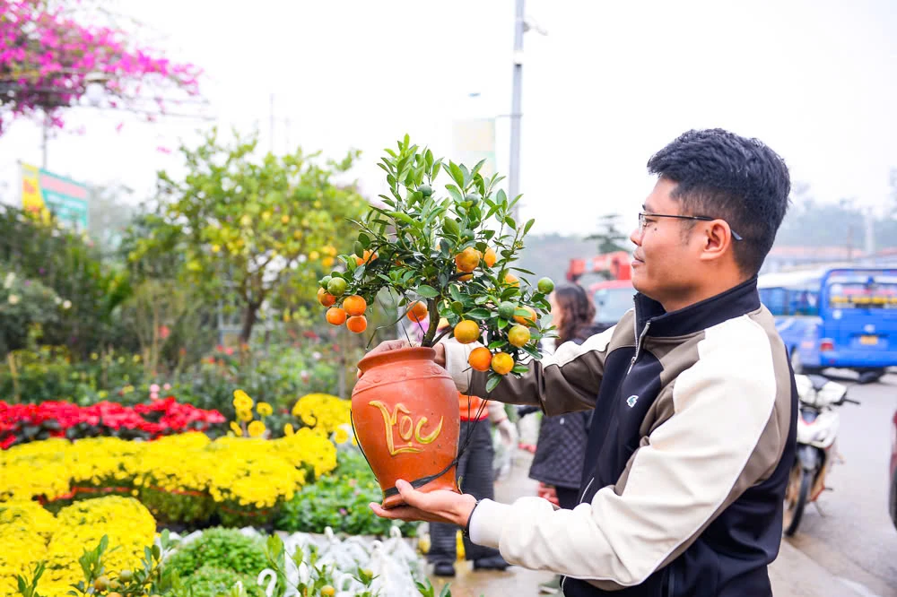 Xuân sớm về trên phố