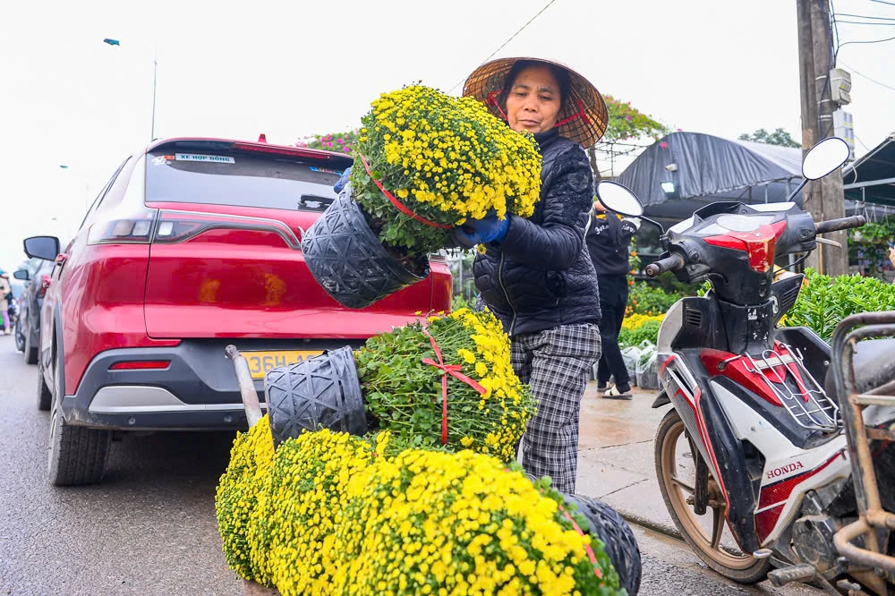 Xuân sớm về trên phố