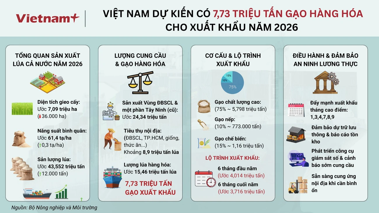 Nguồn cung gạo xuất khẩu năm 2026 dự kiến đạt 7,73 triệu tấn
