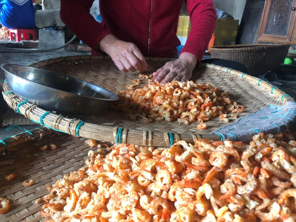 Tết rộn ràng ở làng nghề biển xứ Thanh