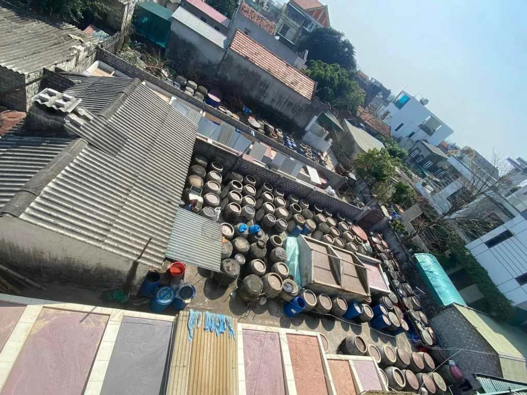 Tết rộn ràng ở làng nghề biển xứ Thanh