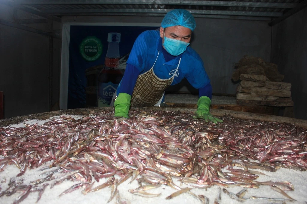 Tết rộn ràng ở làng nghề biển xứ Thanh