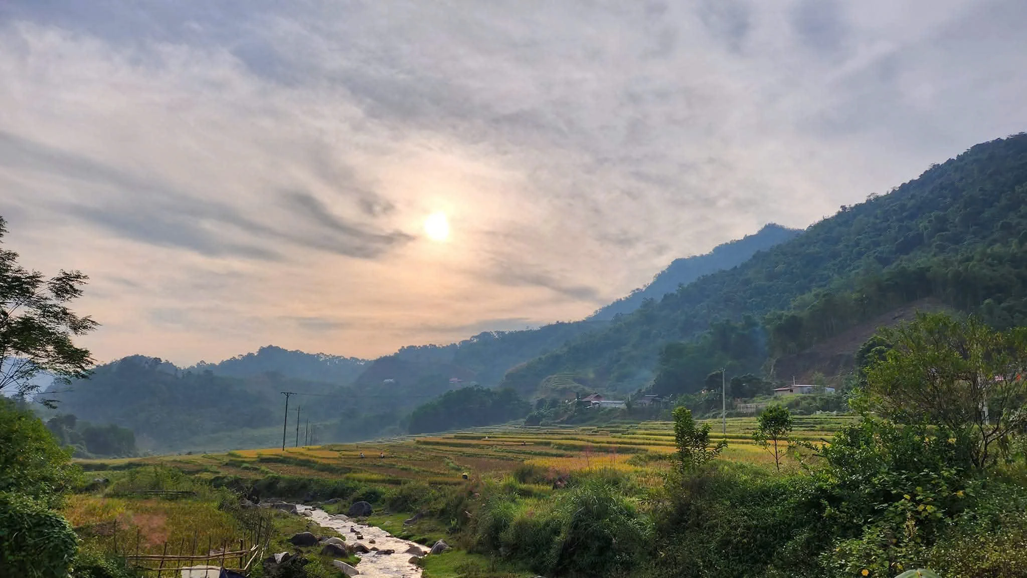 Thức dậy cùng bình minh