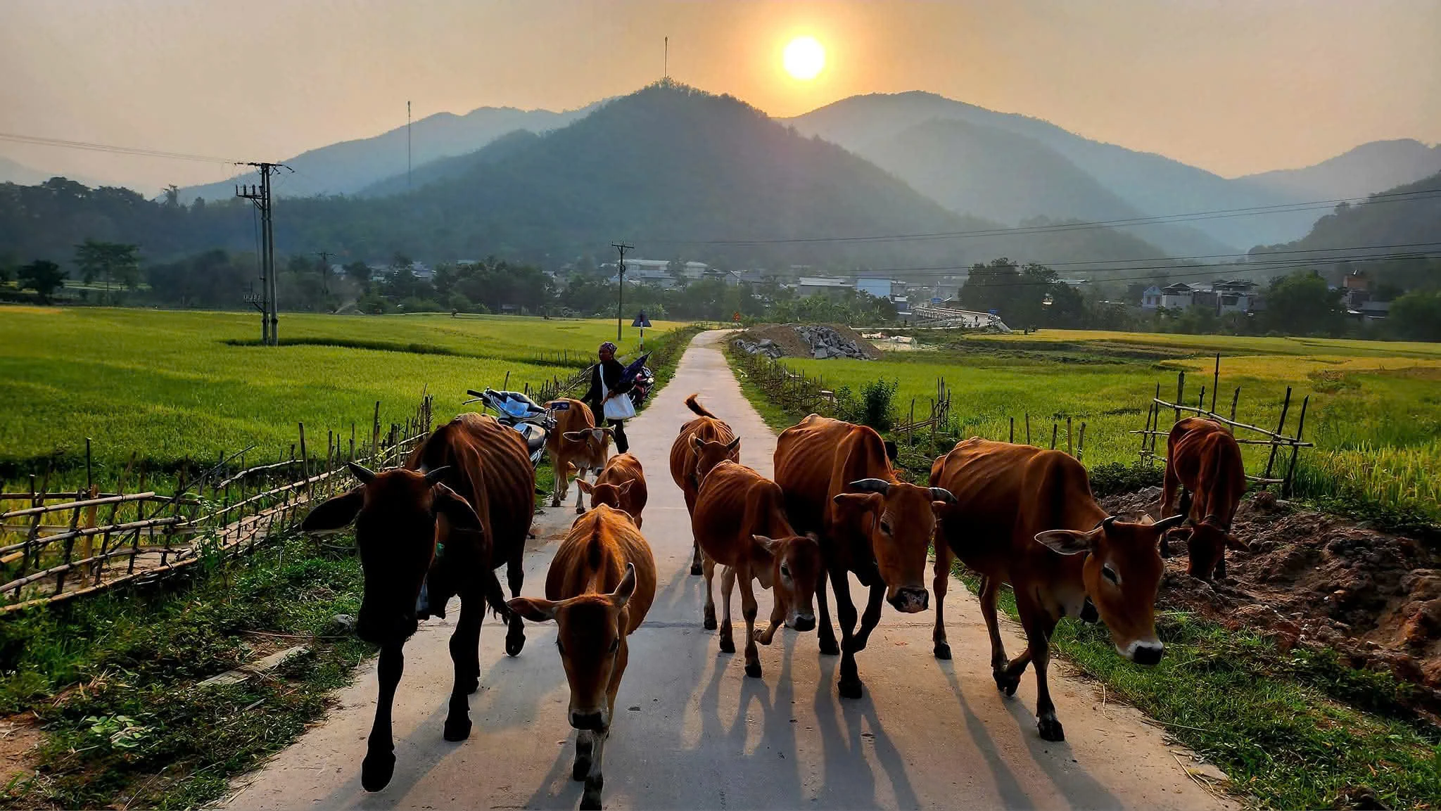 Thức dậy cùng bình minh