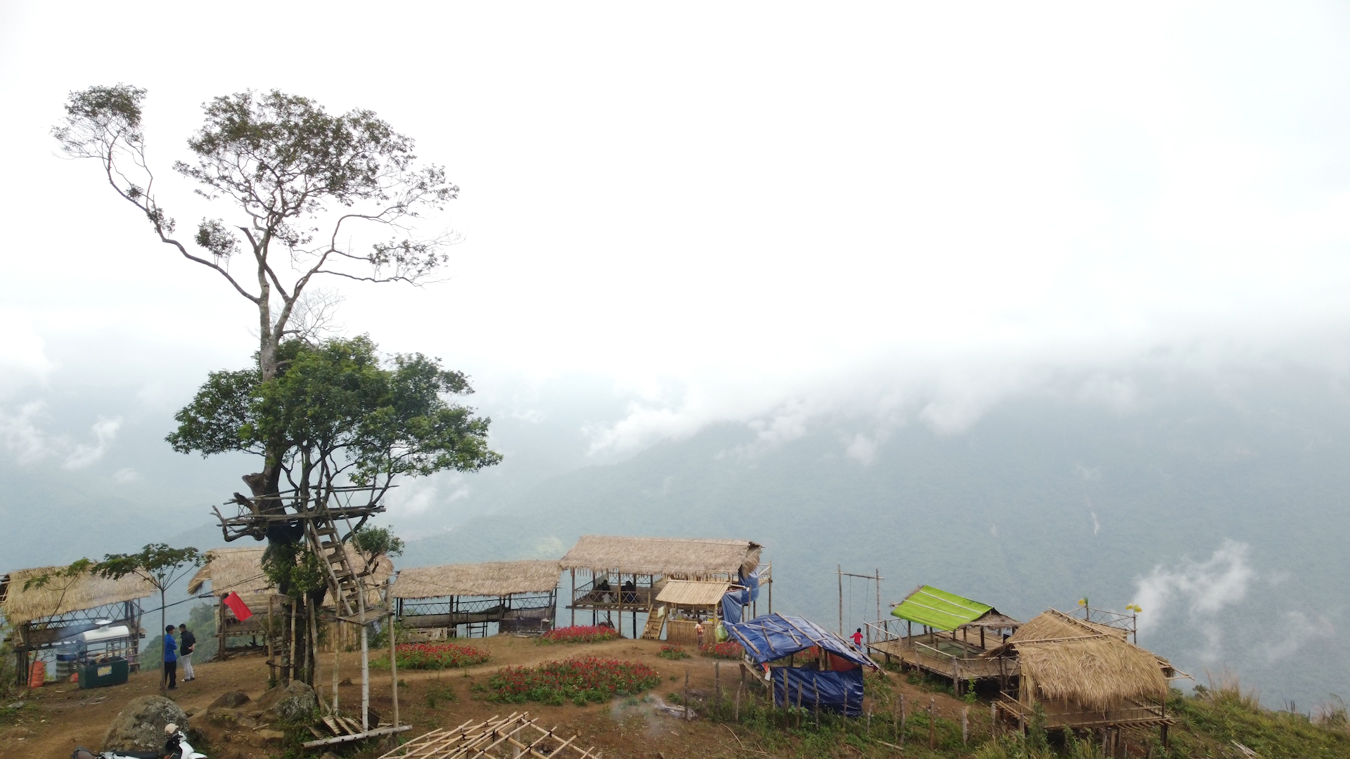 Làm giàu trên đình Pha Đén