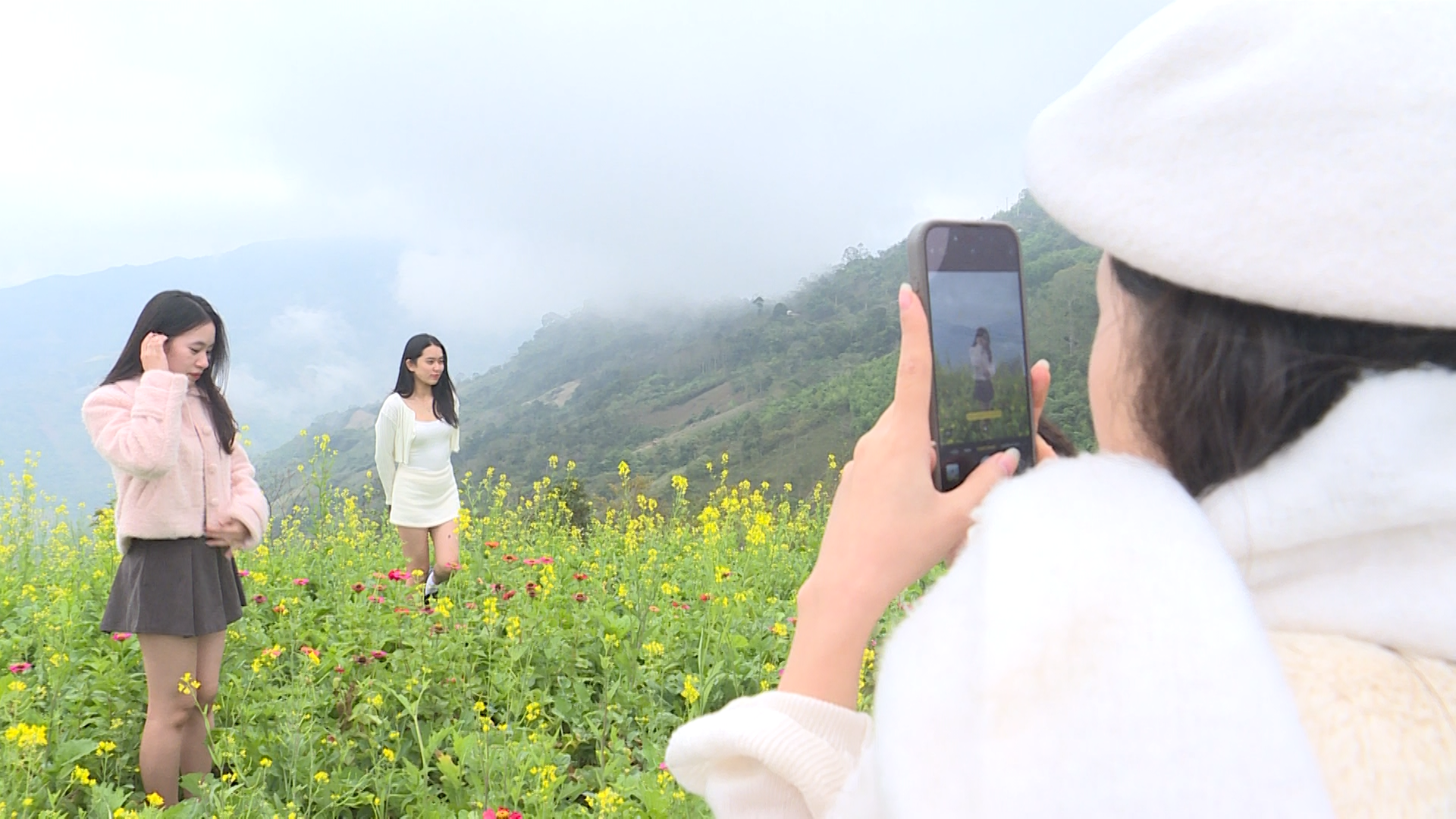 Làm giàu trên đình Pha Đén