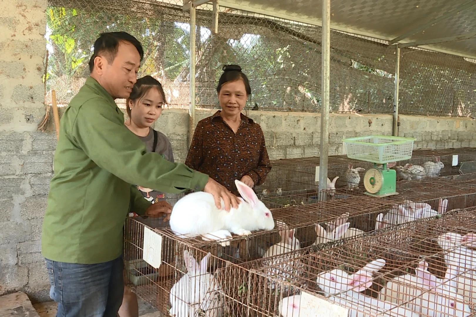 Giấc mơ làm giàu ở bản Mường