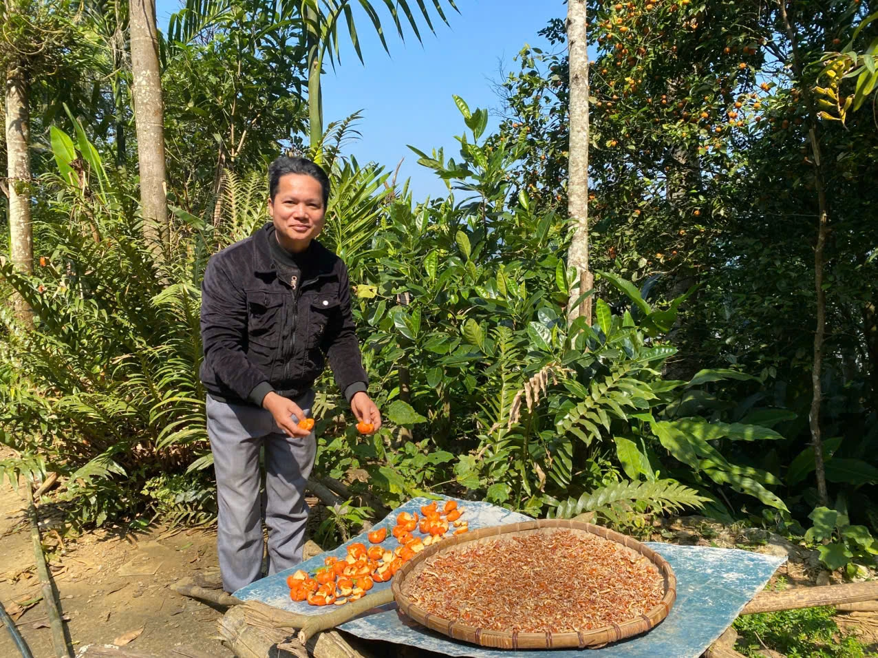 Hương vị trà quýt hoi