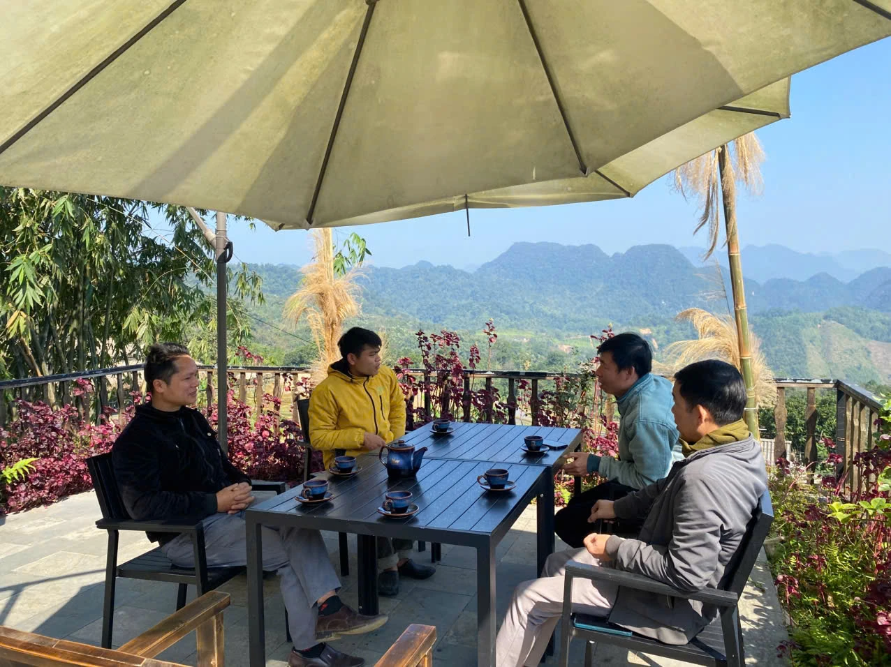 Hương vị trà quýt hoi